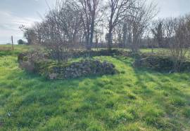 Two houses with garden for sale near Saint Savin 86