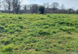 Two houses with garden for sale near Saint Savin 86