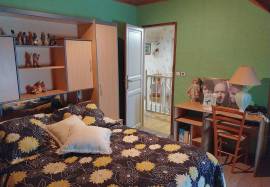 House with big outbuilding for sale near Le Blanc 36