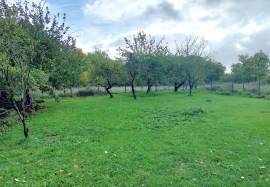 House with big outbuilding for sale near Le Blanc 36