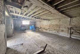 Large Renovation Project with Potential