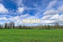 Collection of Barns to Renovate in the Countryside