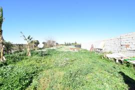 FANTASTIC COUNTRY PROPERTY NEAR DAYA NUEVA FANTASTIC COUNTRY PROPERTY NEAR DAYA NUEVA