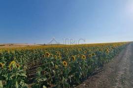 Large Building Plot for Sale in Tunkovo, Burgas Region, Bulgaria