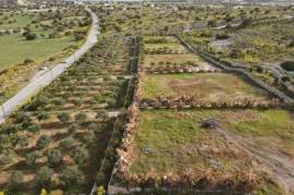 Agricultural Field for sale in Maroni village, Larnaca