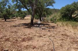 House to Recover in Salir - Freixo Seco