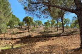 Land with urban area Municipality of Silves