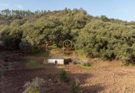 18 hectares with Ruins in São Martinho das Amoreiras