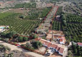 TRADITIONAL ALGARVE RURAL HOUSE T3+1
