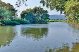 Komati River Chalets For Sale In Komatipoort South
