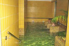 Thermal & Nature Bath Spa For Sale In Gelse