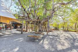 La Esquina de Avellanas: The Premier Commercial Plaza in Playa Avellanas, Costa Rica