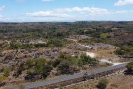 La Cresta Land: The property is located along an asphalted road with 3.9 hectares, providing ample space for all your endeavors,