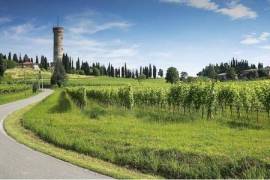 Farm/Mansion - Desenzano del Garda. Exclusive property with three hectare vineyard!