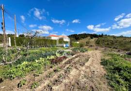 Mixed land with feasibility of construction