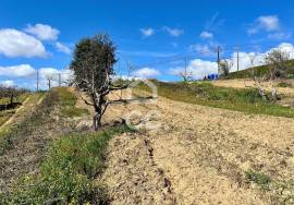 Mixed land with feasibility of construction