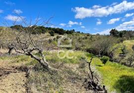 Mixed land with feasibility of construction