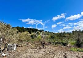 Mixed land with feasibility of construction
