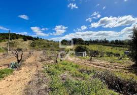 Mixed land with feasibility of construction