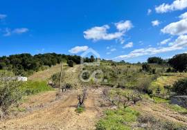 Mixed land with feasibility of construction