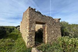 Fantastic Farm Investment Project with 2 Ruins