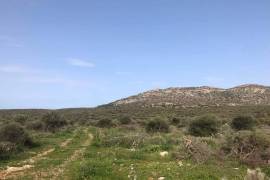 Excellent Plot of land for sale in Porto Rafti East Attica Greece