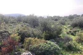 Excellent Plot of land for sale in Porto Rafti East Attica Greece