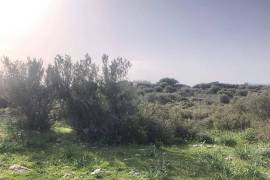 Excellent Plot of land for sale in Porto Rafti East Attica Greece