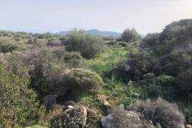 Excellent Plot of land for sale in Porto Rafti East Attica Greece