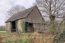 Habitable Country House with Outbuilding