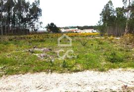 Land Marinha Grande Vieira da Leiria