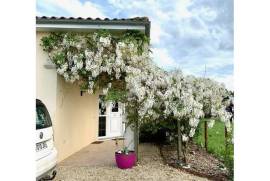 4 Bedrooms - Bungalow - Poitou-Charentes - For Sale