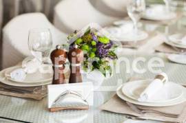 Dpt Savoie (73), à vendre CHAMBERY Restaurant 300 m² - 44 couverts + terrasse