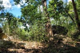Excellent Plot of land for sale in Cat Island