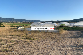 Farm dedicated to the cultivation of strawberries and tomatoes for sale next to the town of Mendoza