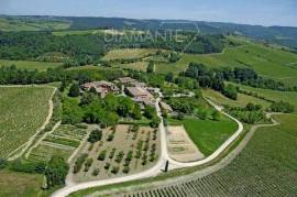 AZ294 - Organic Winery Estate spanning 132 hectares with a medieval village