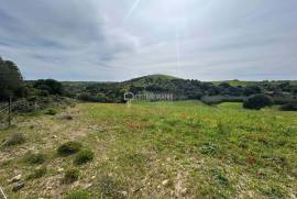 Incredible Investment Opportunity in Rustic Land in Raposeira