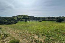 Incredible Investment Opportunity in Rustic Land in Raposeira