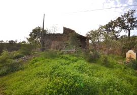 Farmhouse and Large Plot of Land