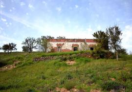 Farmhouse and Large Plot of Land