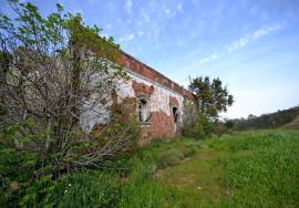 Farmhouse and Large Plot of Land