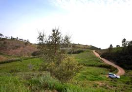 Farmhouse and Large Plot of Land