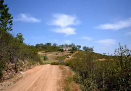 Farmhouse and Large Plot of Land