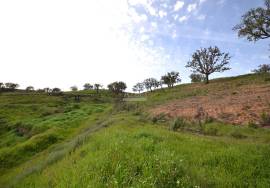 Farmhouse and Large Plot of Land