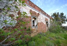Farmhouse and Large Plot of Land