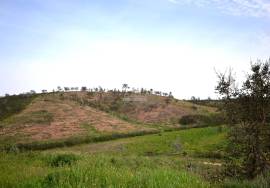 Farmhouse and Large Plot of Land