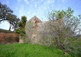 Farmhouse and Large Plot of Land