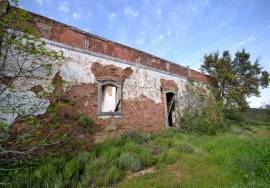 Farmhouse and Large Plot of Land