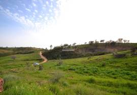 Farmhouse and Large Plot of Land