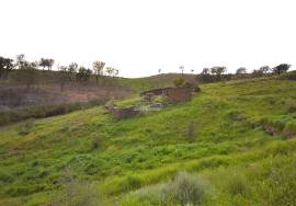 Farmhouse and Large Plot of Land
